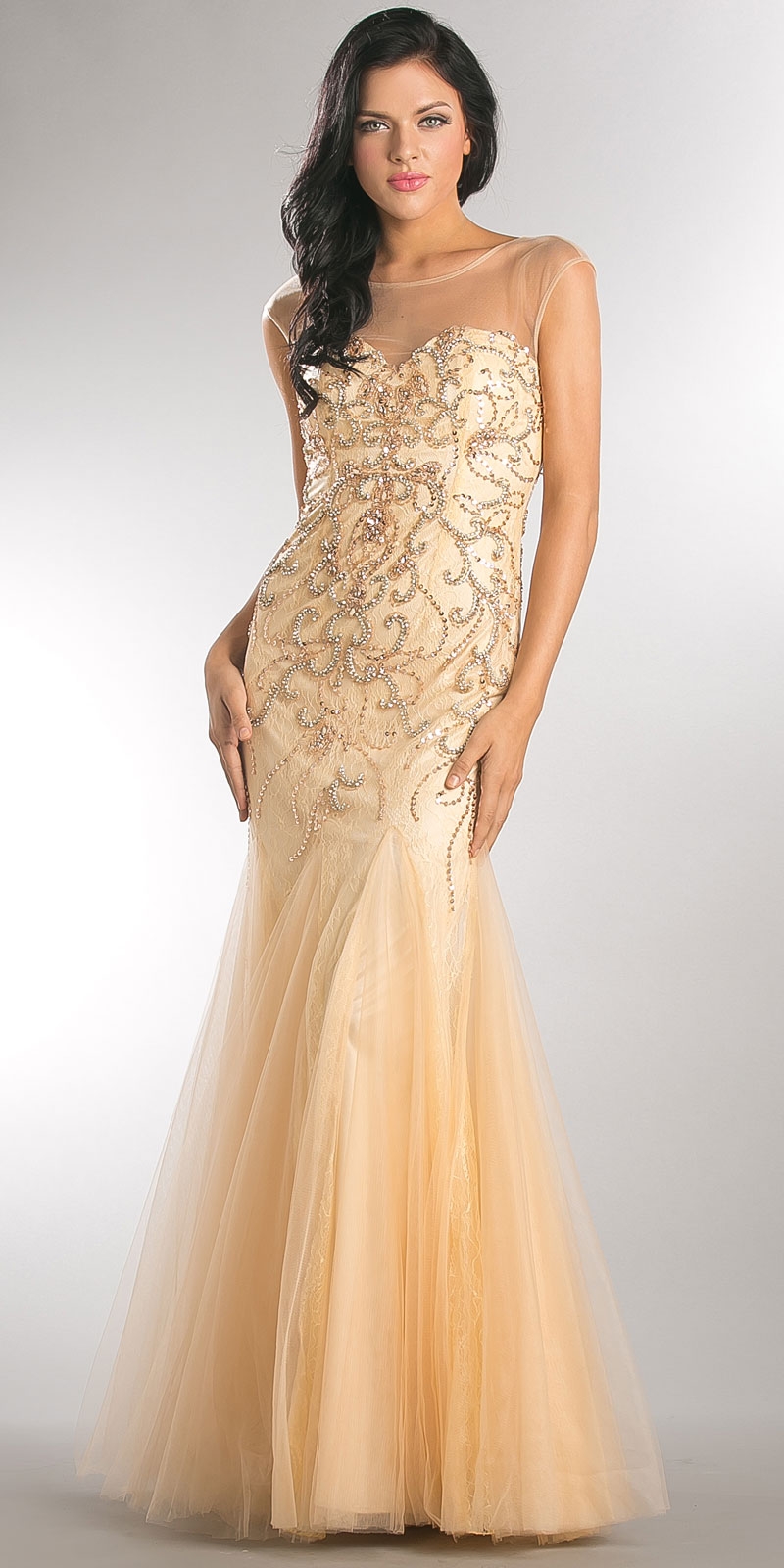 Beaded Mesh Tulle Mermaid Style Long Prom Pageant Dress — in Champaign