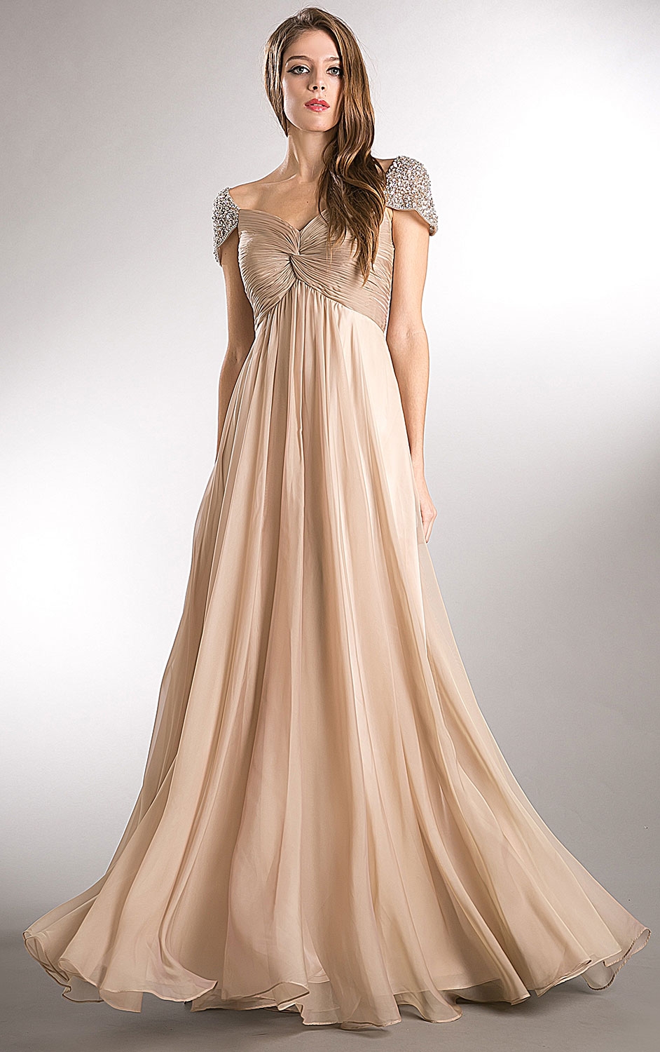 Bejeweled Sleeves Pleated Bust Long Formal Evening Dress — in Champaign