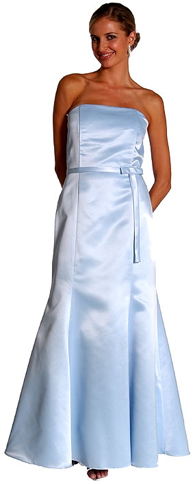 Strapless Slim Cut Long Formal Dress