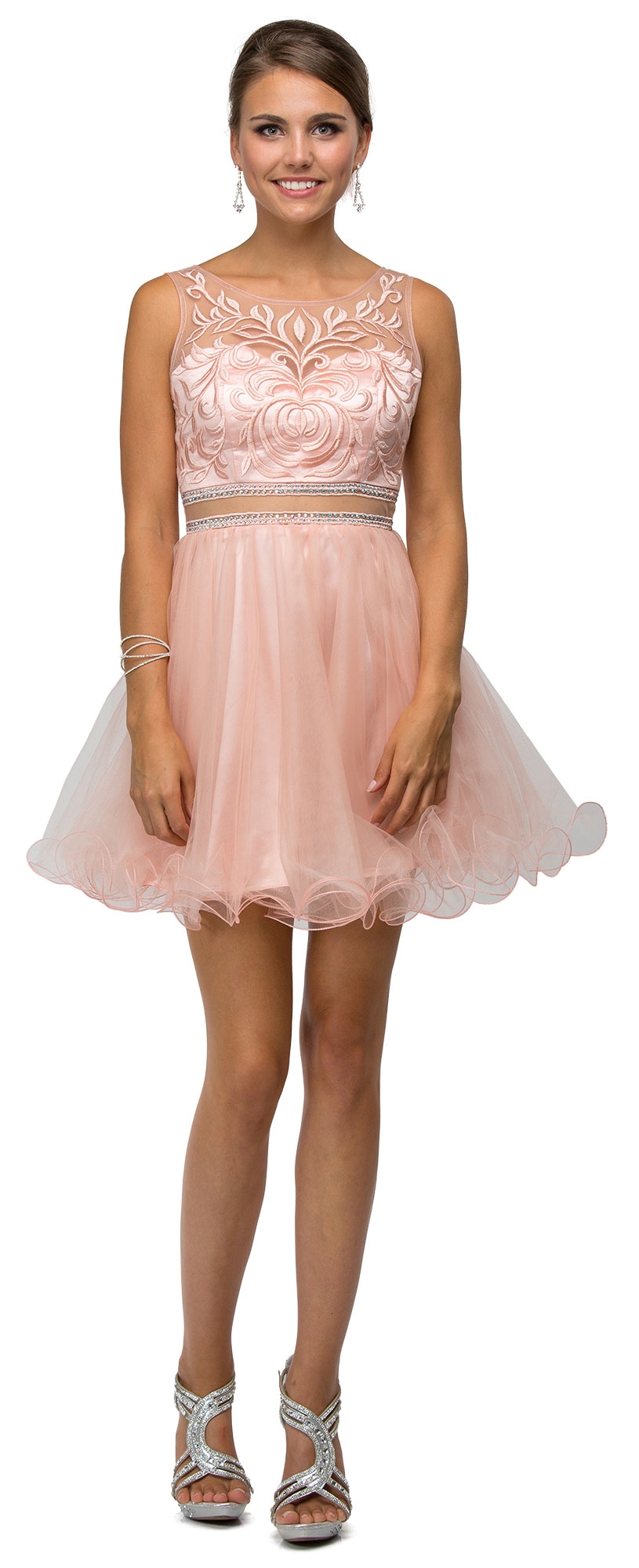 Embroidered Illusion Bodice Short Mesh Homecoming Dress